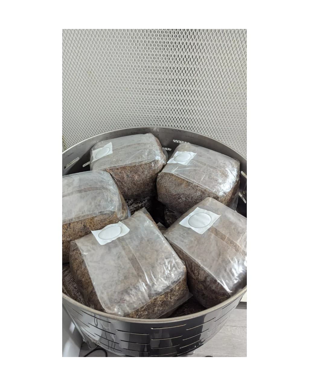 Sterilized Mushroom Master Mix Substrate