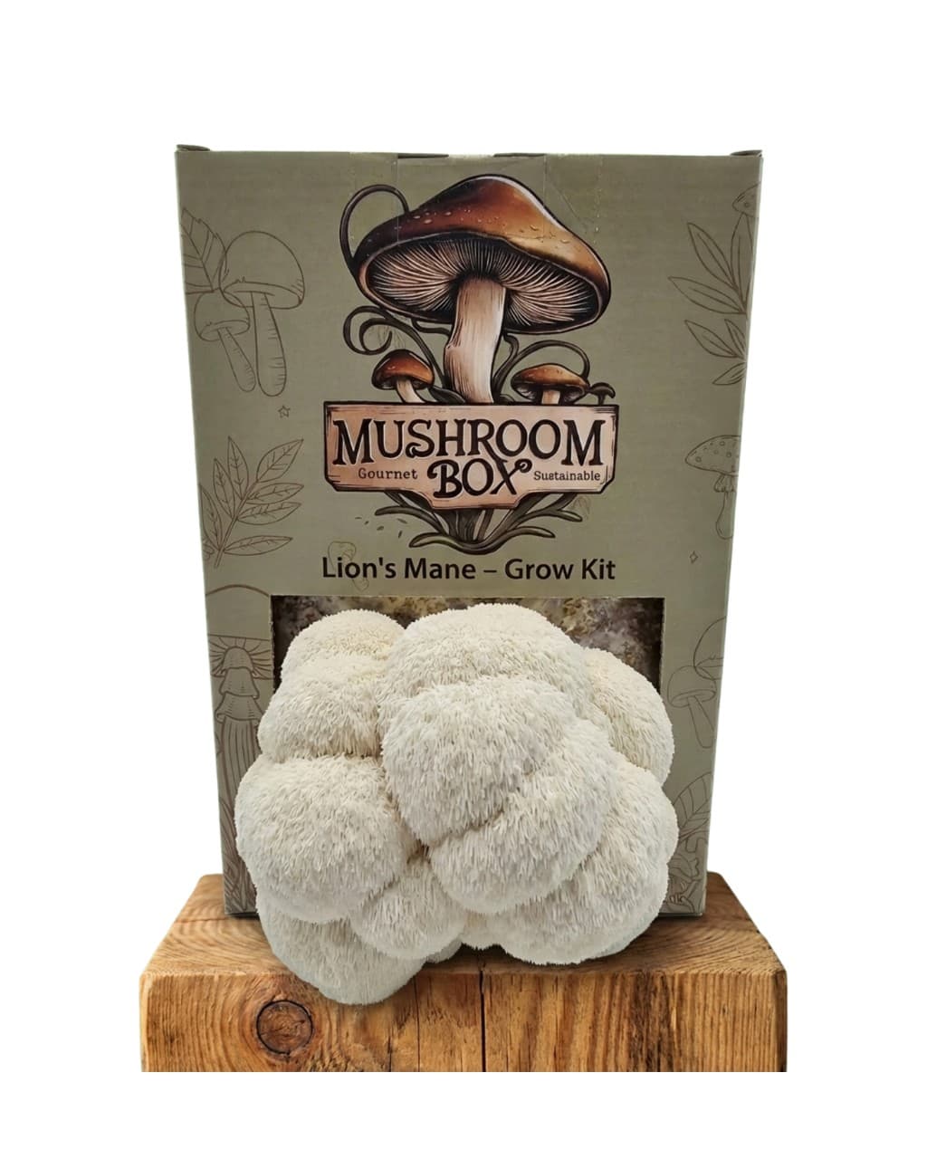 Lion's Mane Grow Kit