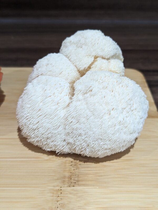 Fresh Lions Mane Mushroom - Brain-Boosting Superfood