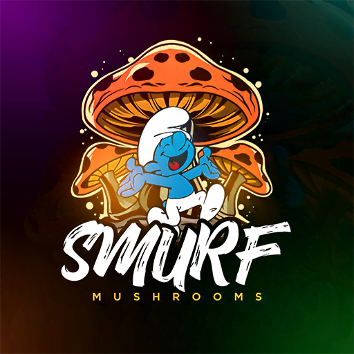Grow Kit Mushroom