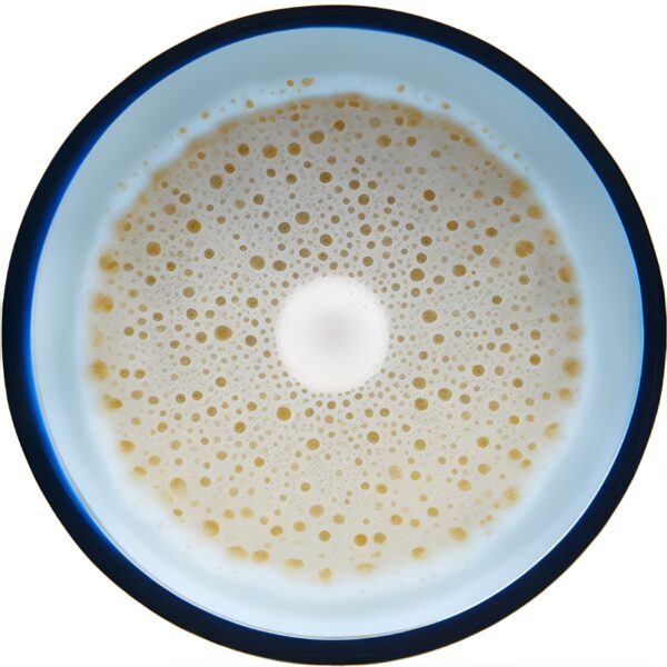 Petri_Dish_Mushroom_Agar_Culture_900x150mm